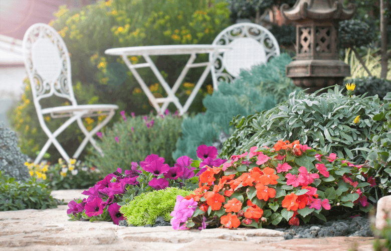 תכנון והקמת גינה 2